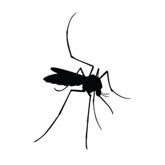 Mosquito silhouette vector