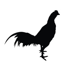 Cock silhouette vector