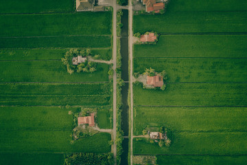 Aerial photo Of Of Asian Paddy Field