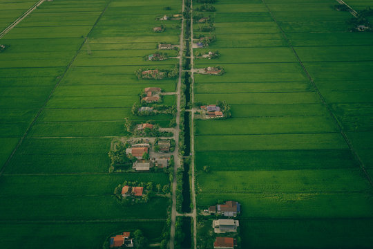 Aerial photo Of Of Asian Paddy Field