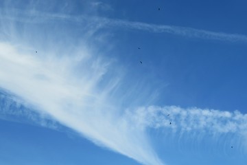 Naklejka na ściany i meble Beautiful fluffy cirrus clouds in blue sky, natural sky background