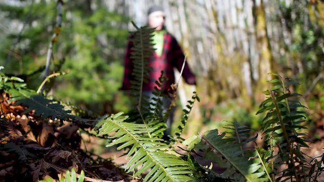 Shallow depth of field shot shot of man walking on a trail in the pacific northwest  .