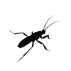 Hornet silhouette vector 