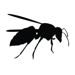 Hornet silhouette vector