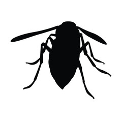 Hornet silhouette vector