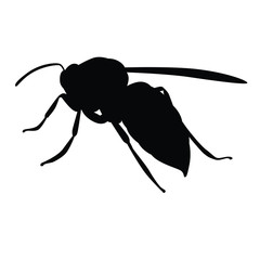 Hornet silhouette vector