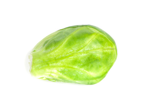 Brussels sprouts an isolated on white background