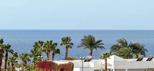 Egypt, Sharm El Sheikh, Seaside coast, palm trees, houses, buildings against the blue sky.
