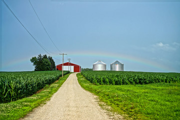 rural landscape with field and blue sky
