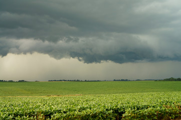 clouds and field