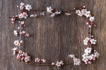 Fresh spring ornamental cherry blossoms on a rustic wood background