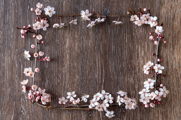 Obraz na płótnie Canvas Fresh spring ornamental cherry blossoms on a rustic wood background