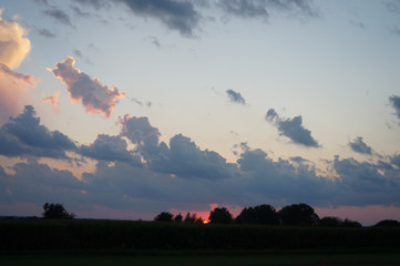 Fototapeta premium clouds and field