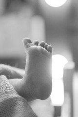 Fototapeta premium Newborn Baby's feet. legs massage concept of childhood, health care, IVF, hygiene