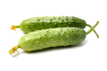 Green cucumber on the white background