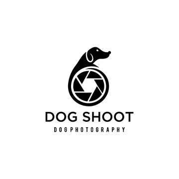 Dog animal Logo design  photography Template Vector.