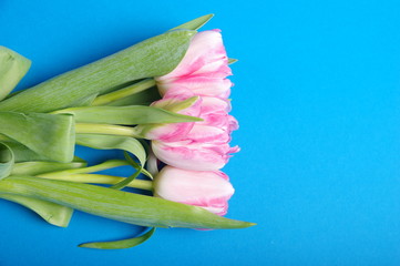 Yellow red tulips bouquet on black background