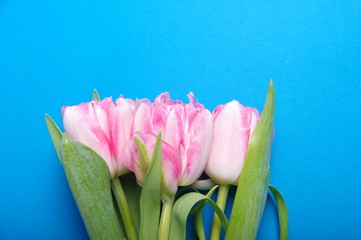 Yellow red tulips bouquet on black background