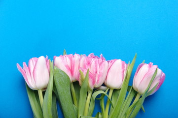 Yellow red tulips bouquet on black background