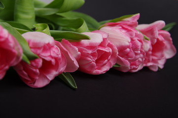 Yellow red tulips bouquet on black background