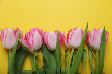 Yellow red tulips bouquet on black background