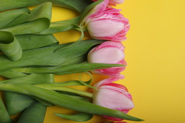 Yellow red tulips bouquet on black background