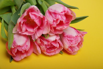 Yellow red tulips bouquet on black background