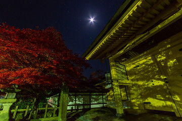 月と紅葉と寺の建物