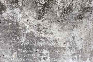 Abstract,Texture of old concrete wall,Grey Cement textured abstract background,old wall with lichen,Dirty white wall background close up moss texture on cement wall