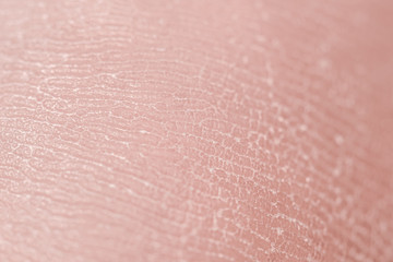 Fototapeta premium Human skin. Macro photo. Close up.