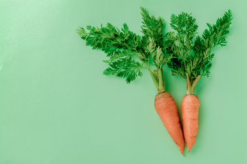 A few fresh carrots on green background.