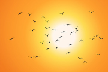 silhouette of a flock of flying birds