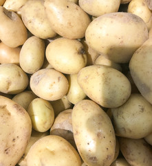 Close-Up Of Ripe Potatoes. Healthy Fresh Food Background.