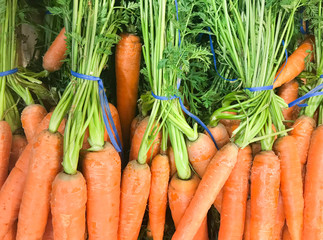 Close-Up Of Fresh Carrots. Healthy Fresh Food Background.