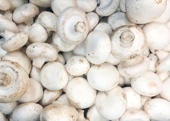 Close-Up Of Fresh Mushrooms Champignons. Healthy Fresh Food Background.