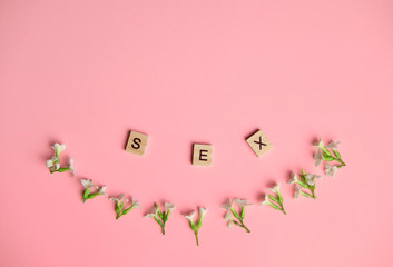 three wooden blocks - letters SEX on them, flowers beneath them, pink background, space for more text images