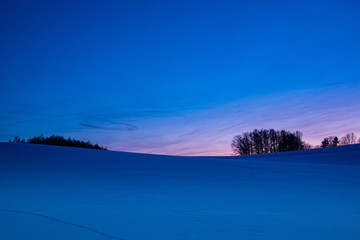 夕暮れ美瑛