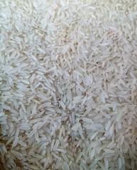 close up of rice