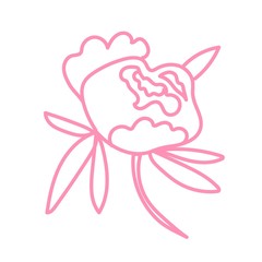 Vector single Peony. Botanical illustration doodle pink line art on a white isolated background.Design for social media,web,cards,textiles, wrapping paper,packaging,prints,coloring.
