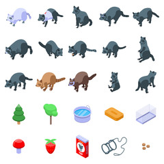 Raccoon icons set. Isometric set of raccoon vector icons for web design isolated on white background
