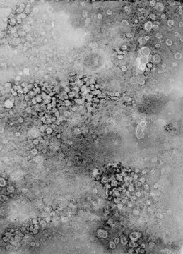 Black and white watercolor abstract stain texture wash gradient background. Salt water drops. Moon surface effect. Foggy and mystic theme.