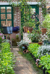 Small blooming garden