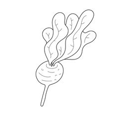 Doodle outline beet plant icon, cute beetroot vegetable isolated on white background, line art cartoon style, good as icon or logo, symbol of farming market and agriculture.