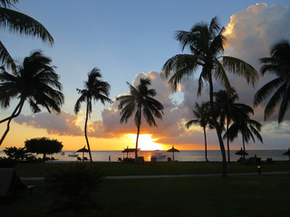Fototapeta na wymiar tropical sea sunset with palm silhouettes