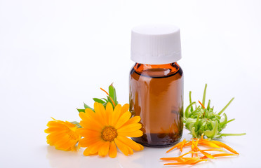 Dark cosmetic bottle of aromatic oil for herbal medicine with calendula flower isolated on white backdrop. Marigold extract.