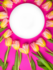 Spring tulips frame, with plate on pink background