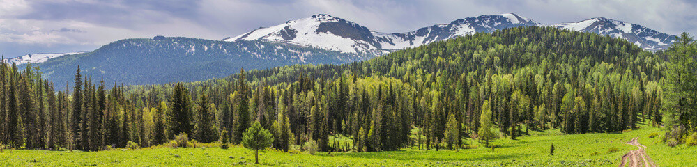 Spring in the mountains, green meadows and forests and snow-capped peaks. Panorama nature.