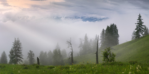 Misty landscape at dawn, mountain taiga. Wild place in Siberia. Traveling in the mountains, trekking.
