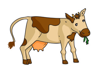 Cute cow grazing branch isolated on white backdrop