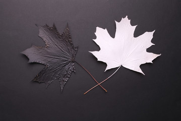 black and white maple leaves, symmetry